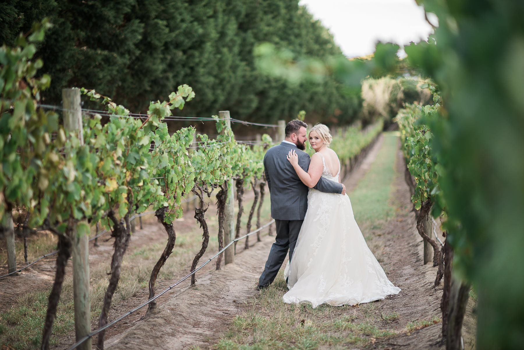 Wedding day at Morning Star Estate vines