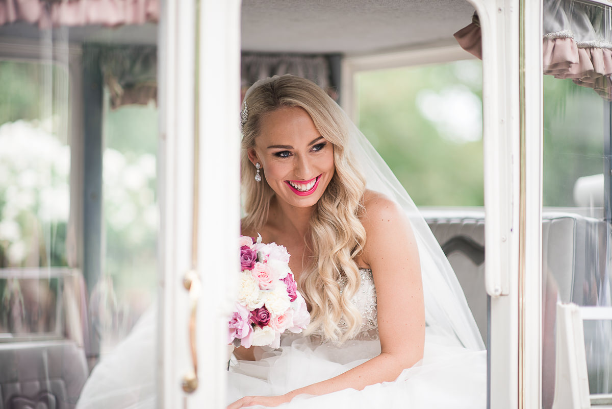 Bram Leigh wedding horse