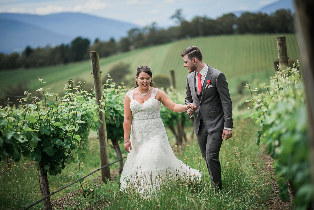 Wedding at Killara Estate grape vines