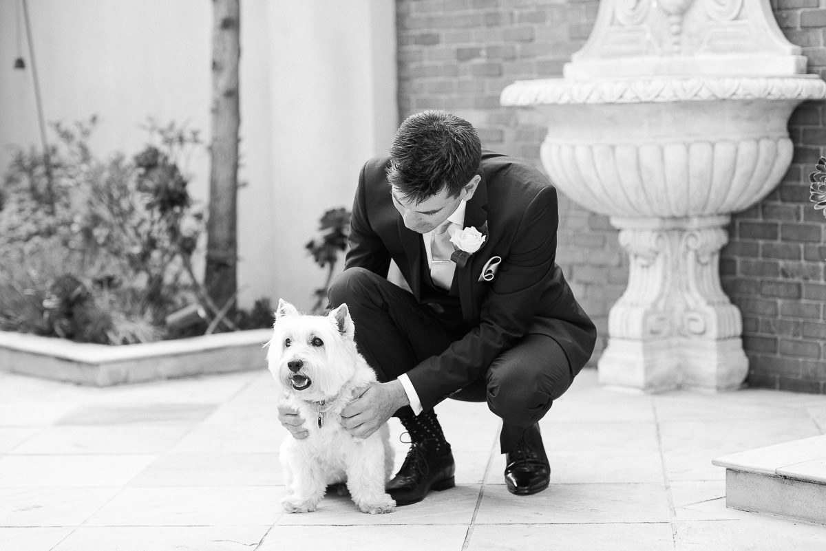 Wedding ceremony Brighton Savoy doggy