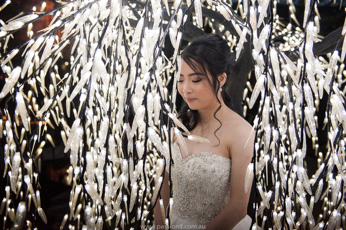 Wedding fun Elizabethan Lodge lights