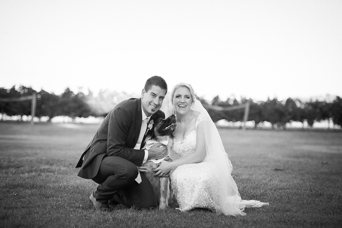 Wedding at Brown Brothers Winery