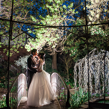 Wedding fun Elizabethan Lodge