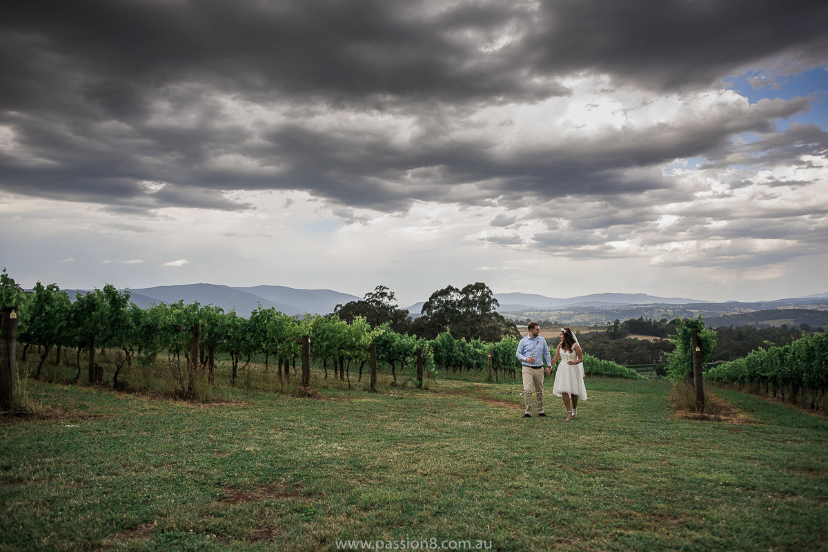 Wedding at Elmswood Estate, Yarra Valley