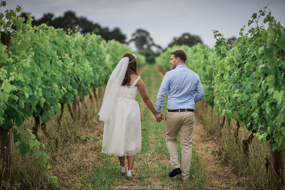 Wedding at Elmswood Estate, Yarra Valley