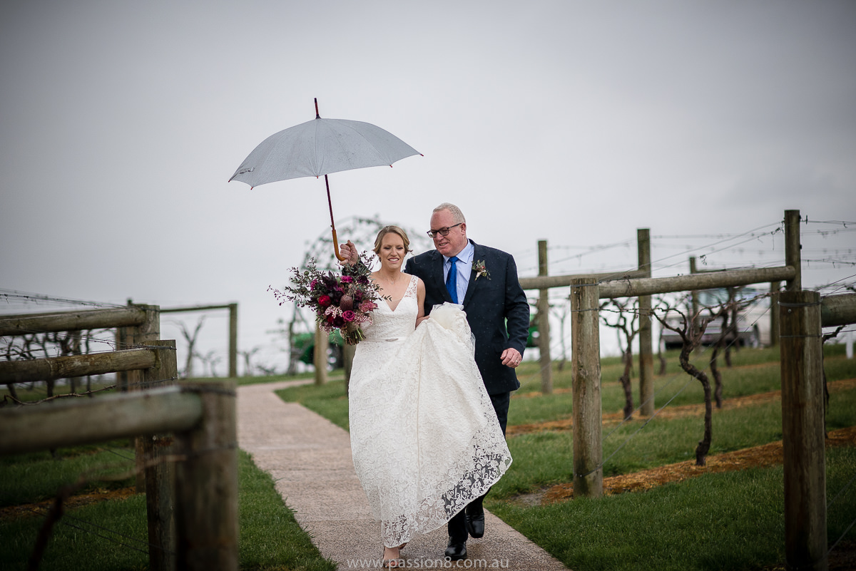 Vue on Halcyon fun wedding