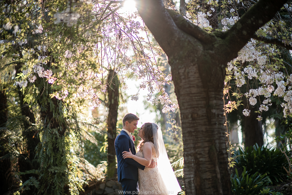 Rosebank North wedding