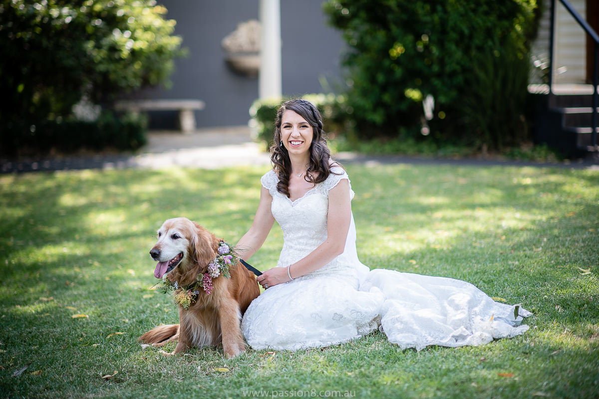 bride and her dog