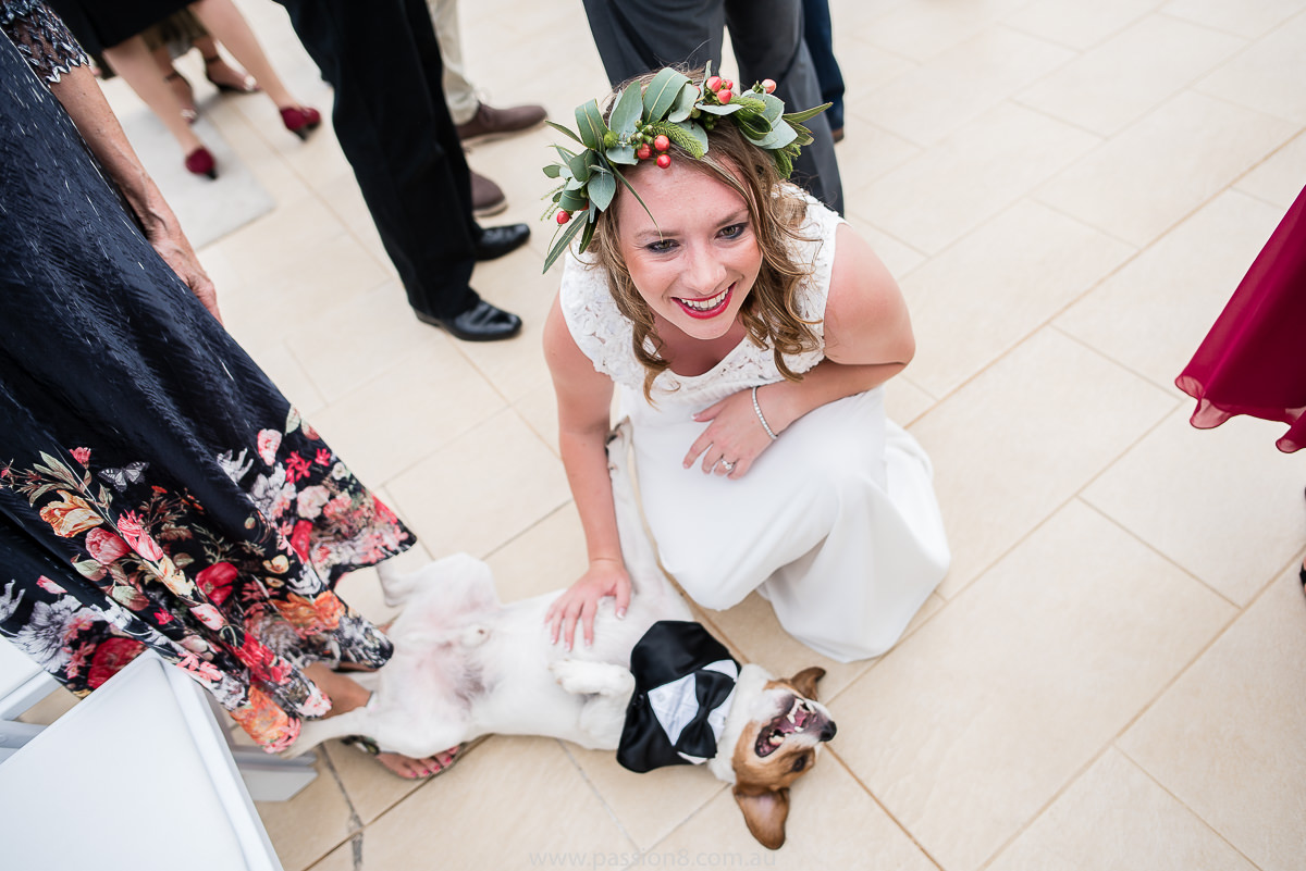 bride and dog