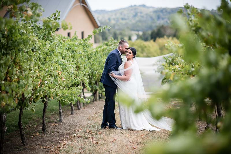 Vue on Halcyon Wedding