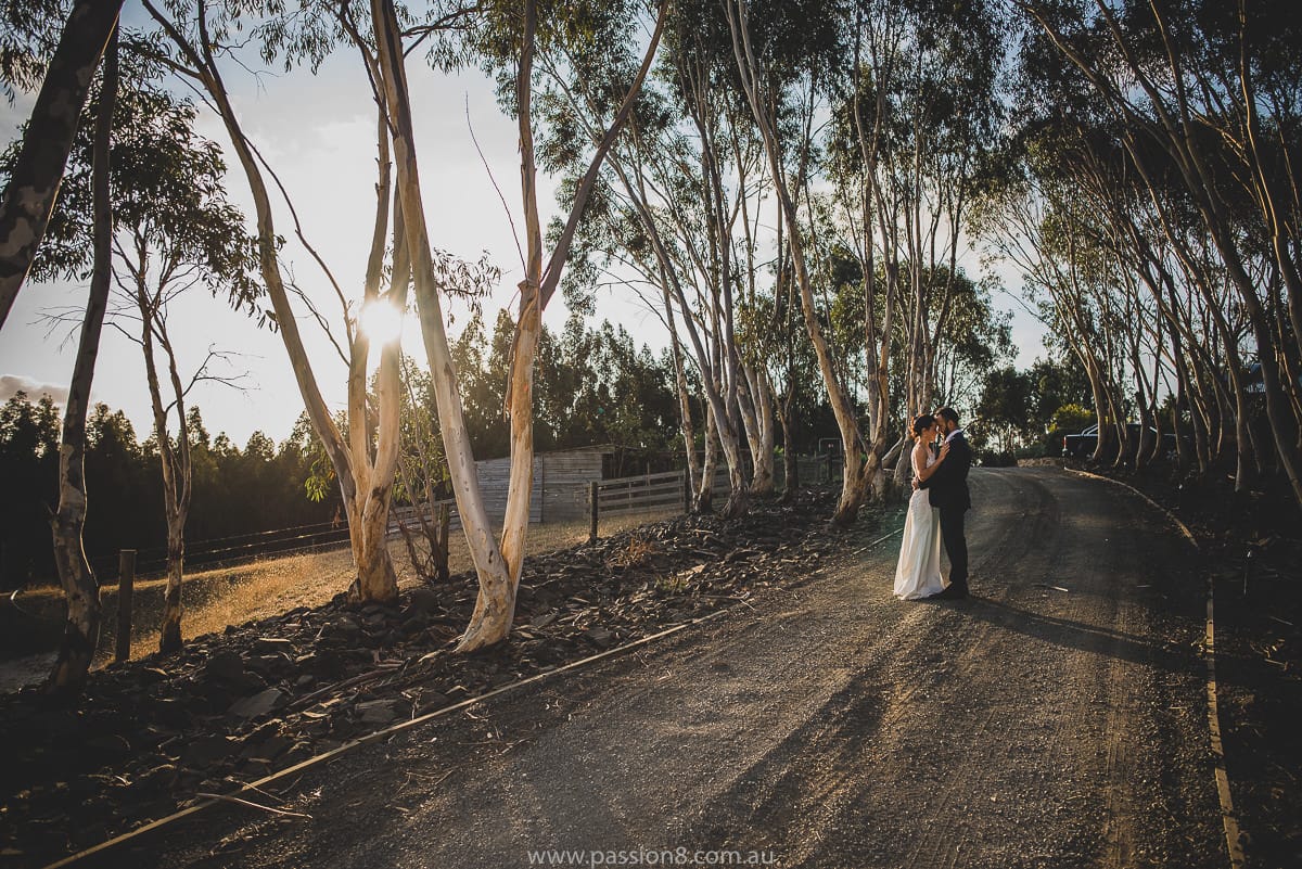 Toms Cap Winery wedding