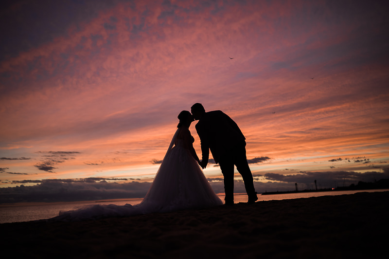 Williamstown Botanical Wedding