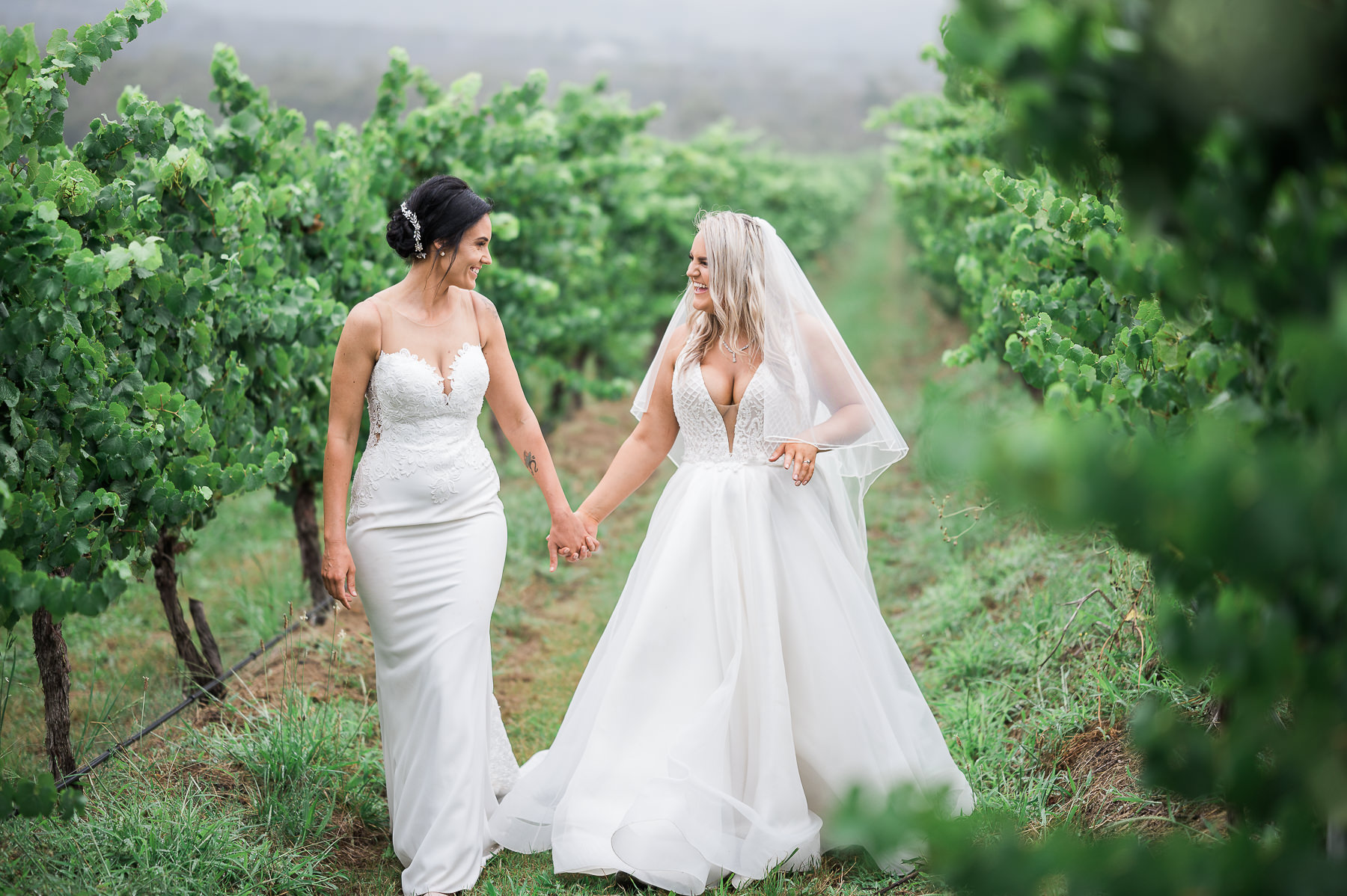 Vines Yarra Valley Wedding
