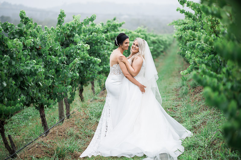 Vines Yarra Valley Wedding