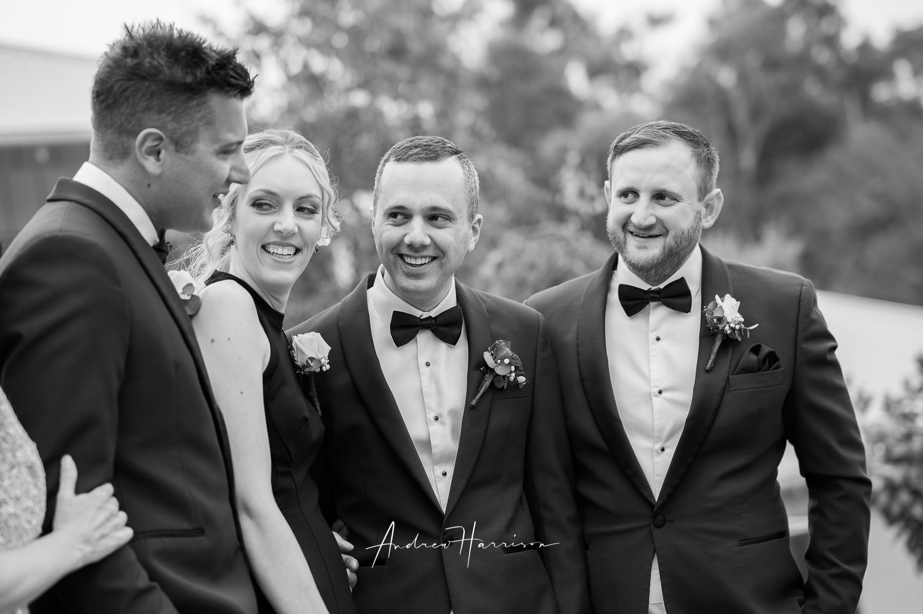 winery wedding