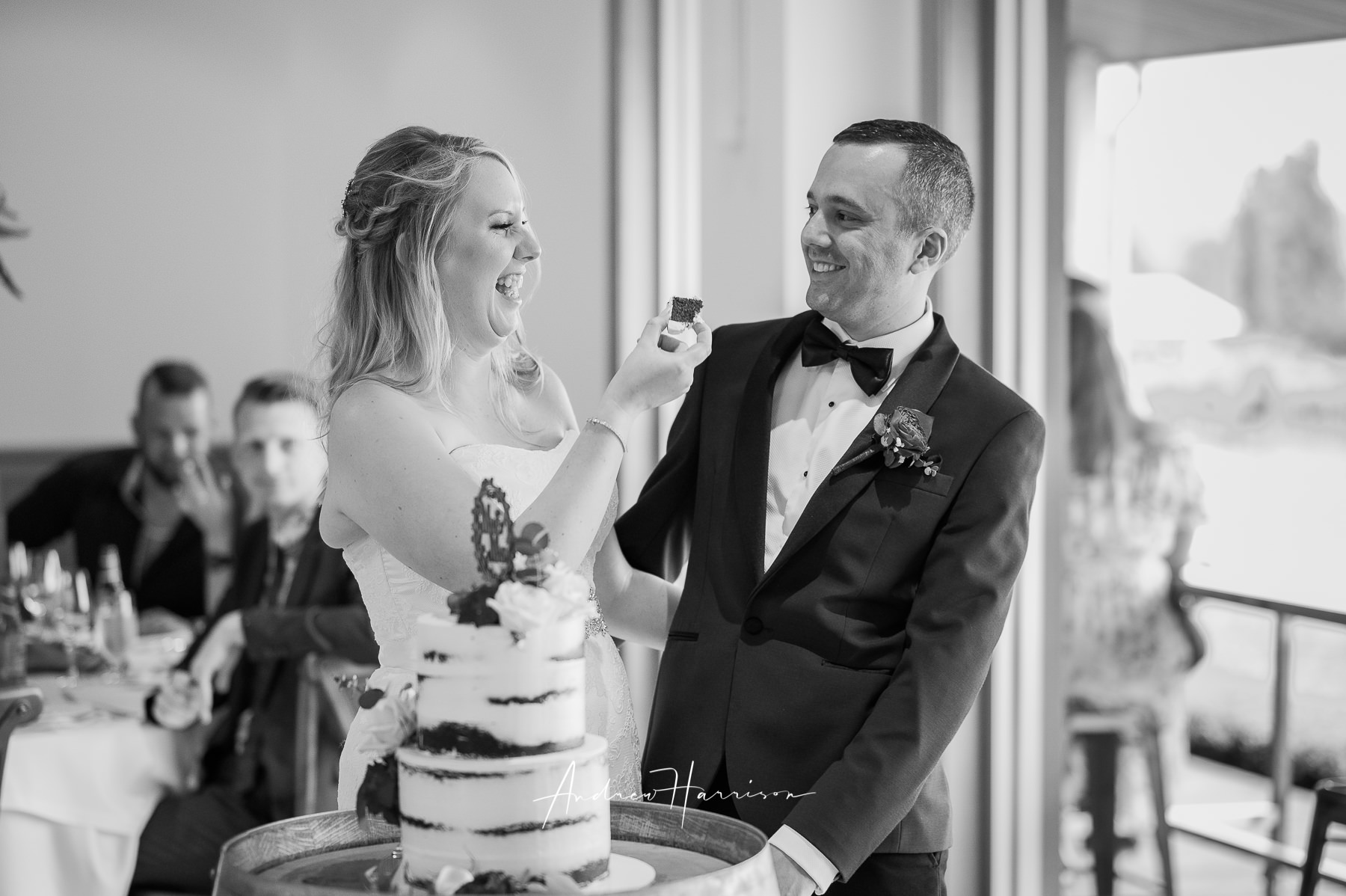 Vue on Halcyon wedding fun