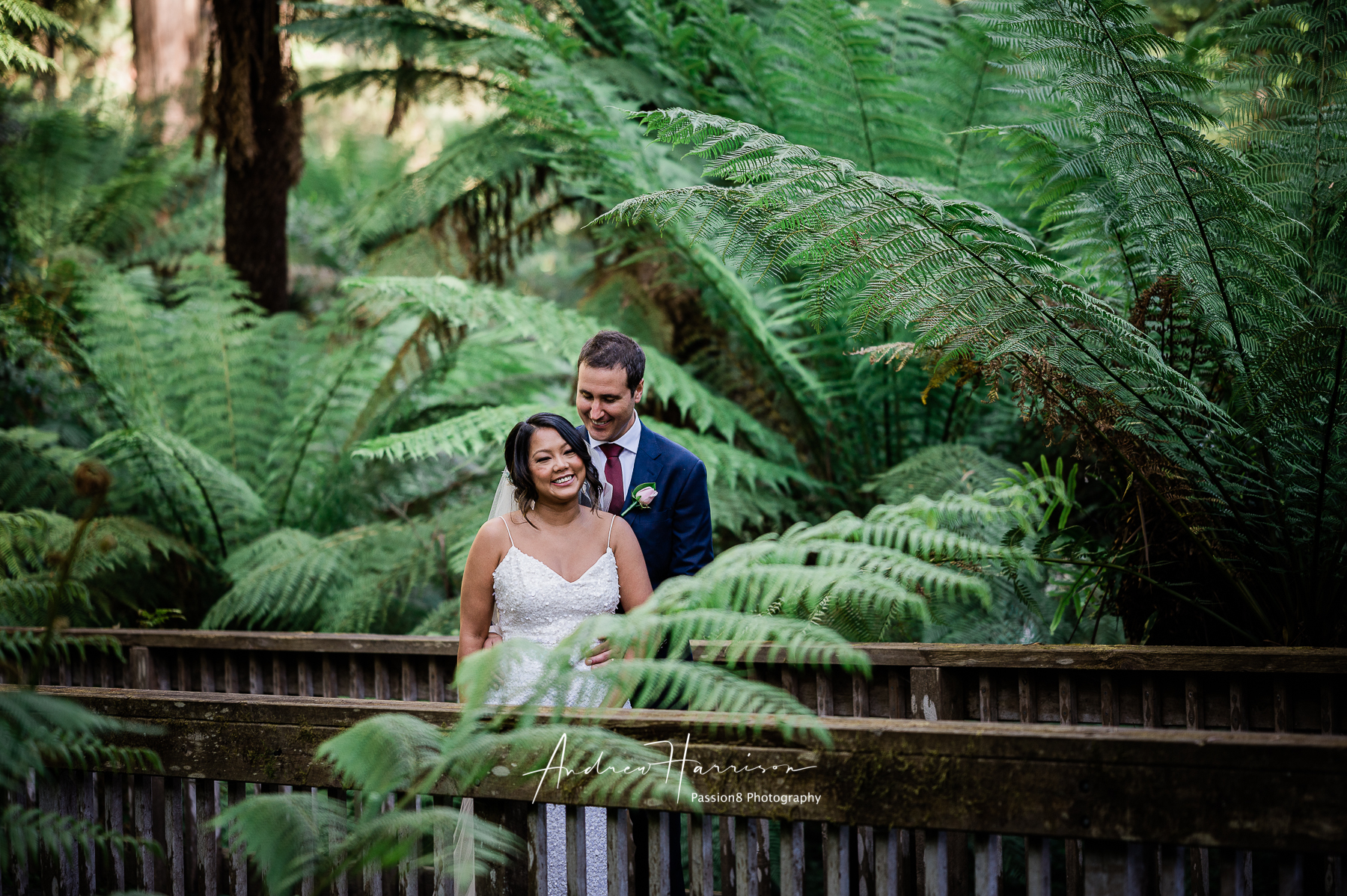 Lyrebird Falls Skyhigh Wedding