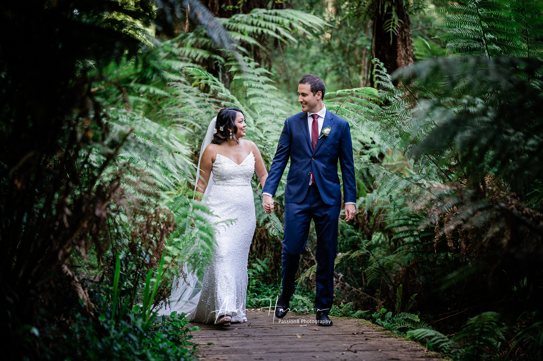 Lyrebird Falls Skyhigh Wedding