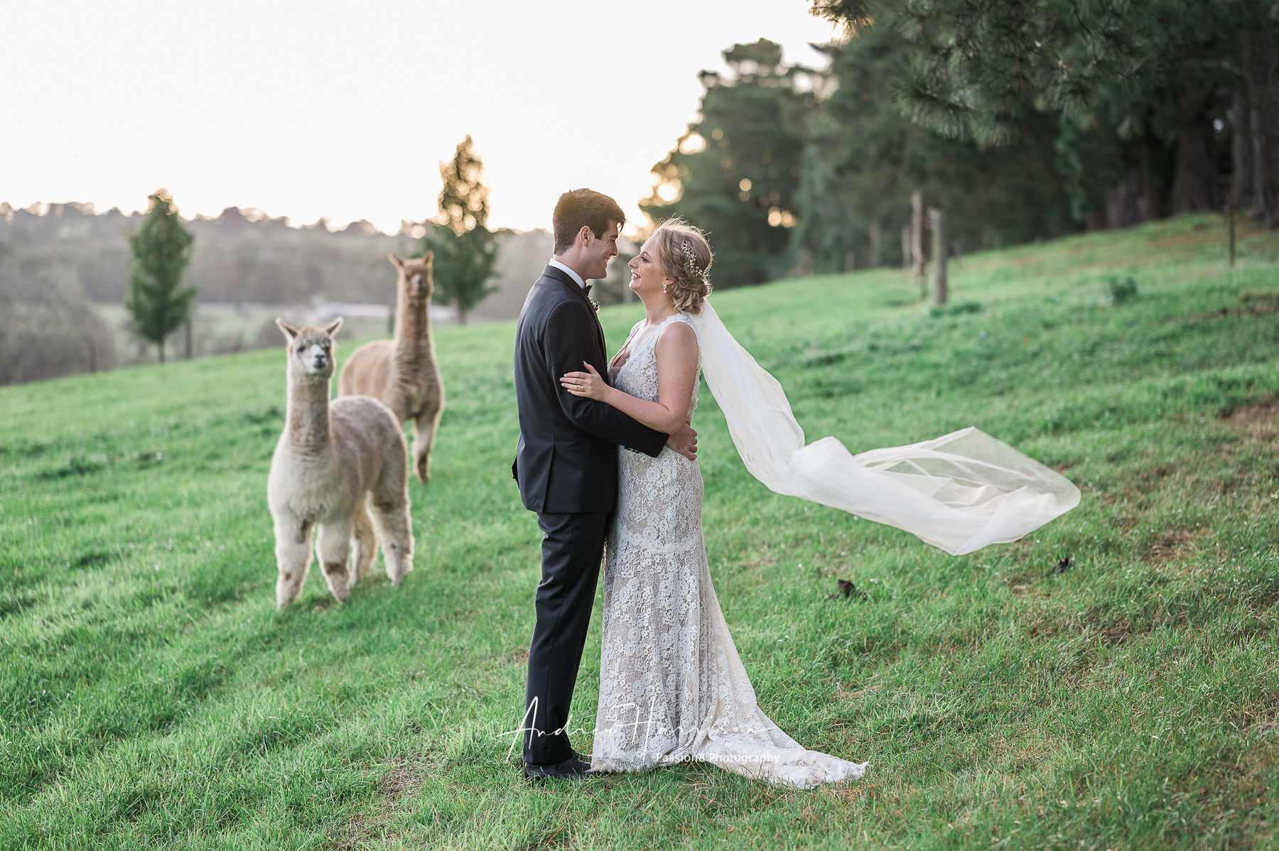 Vue on Halcyon wedding day