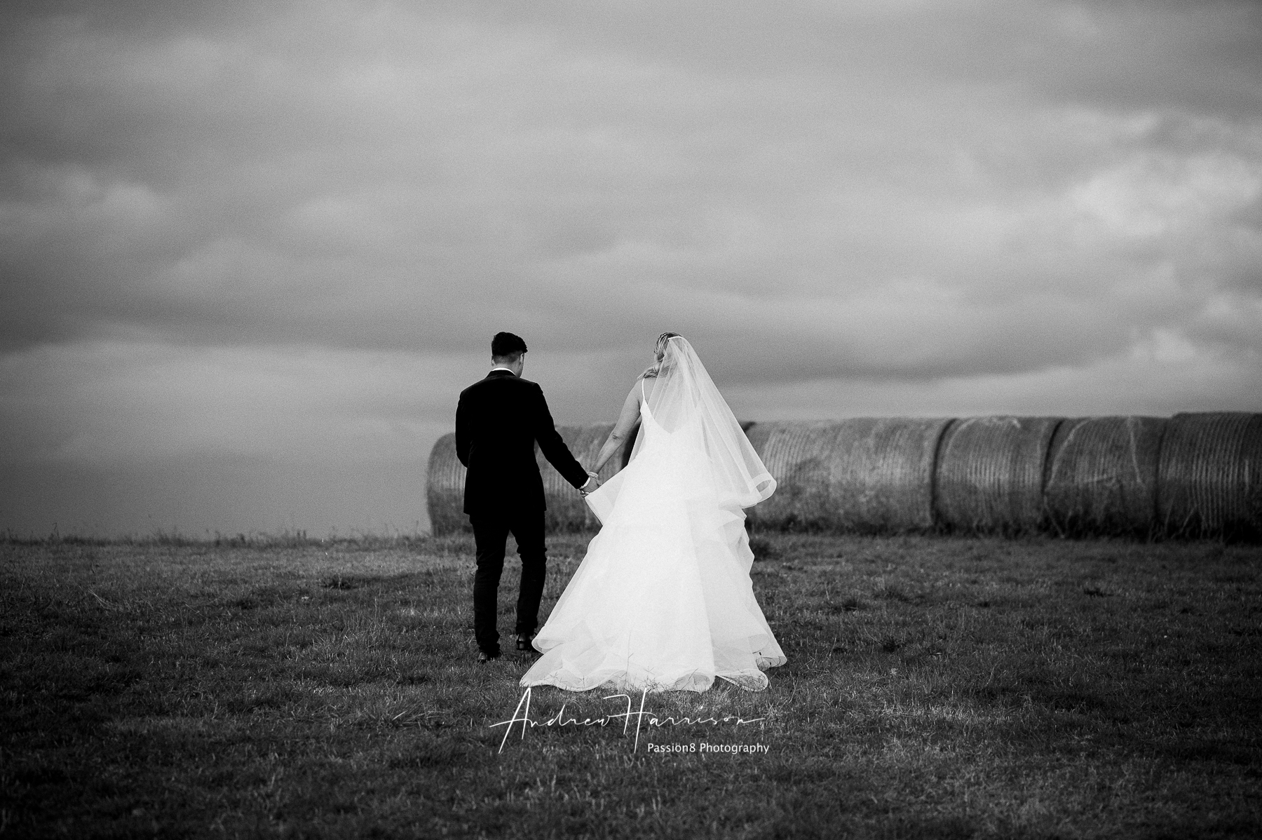 happy vue on halcyon wedding