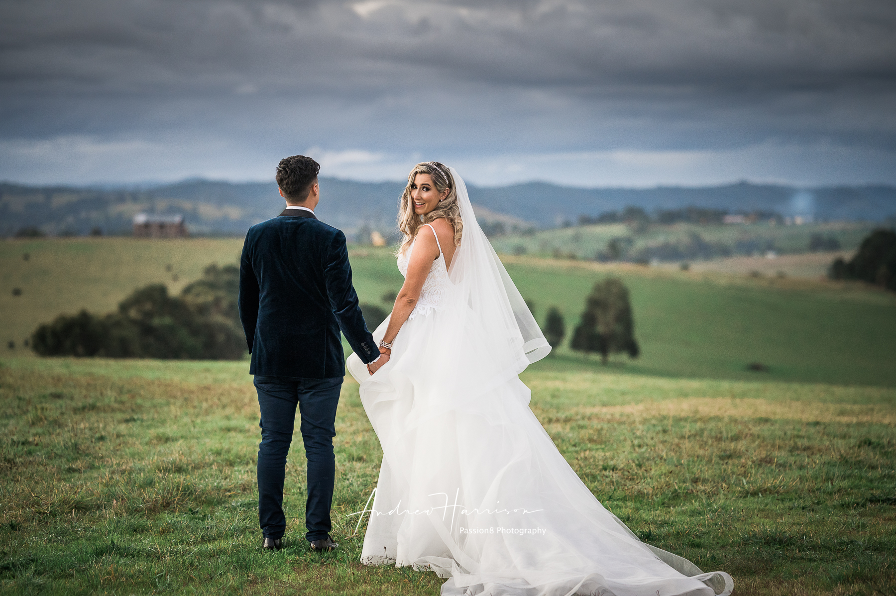 Happy Vue on Halcyon Wedding