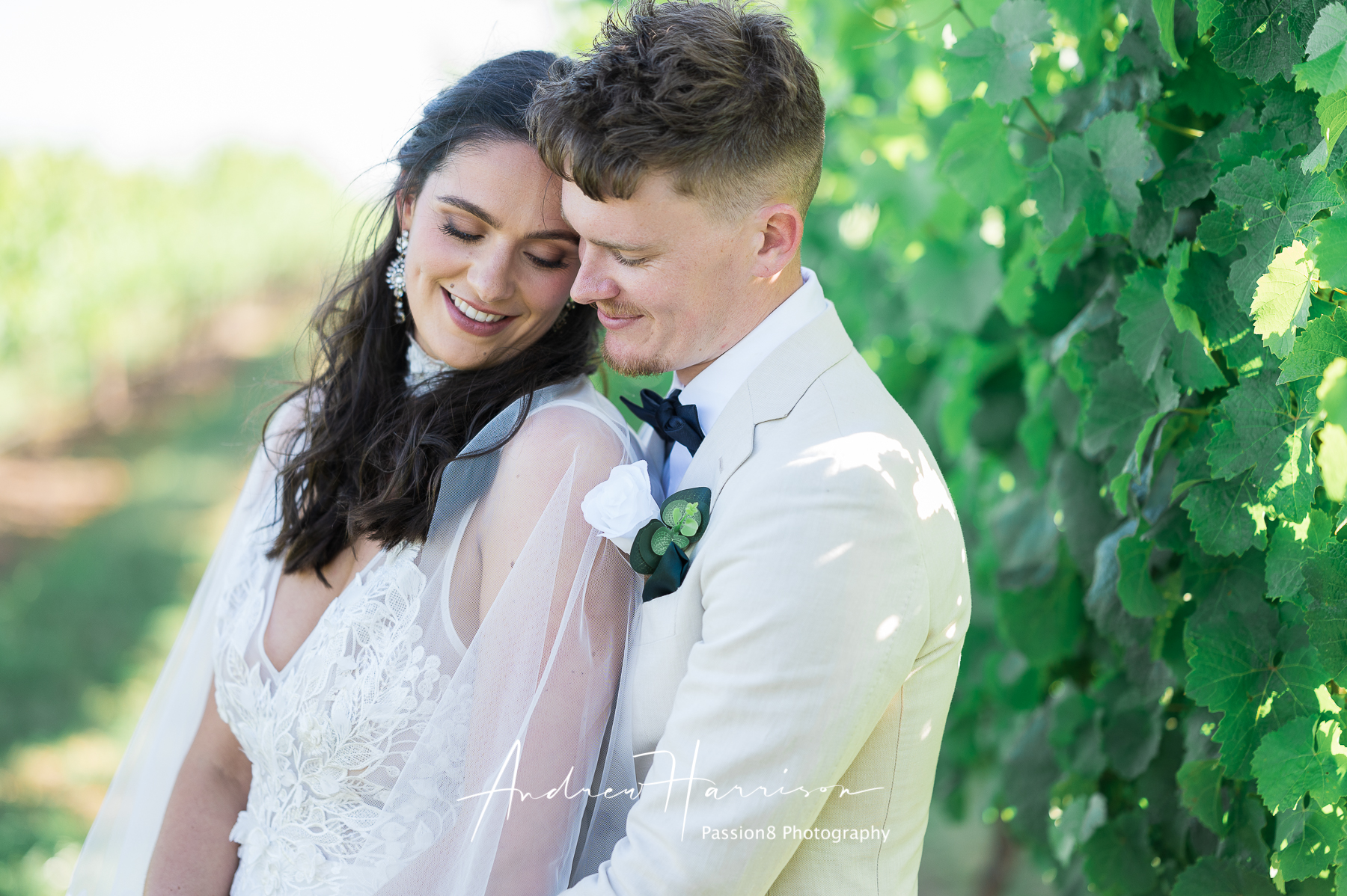 Mitchelton Winery Wedding