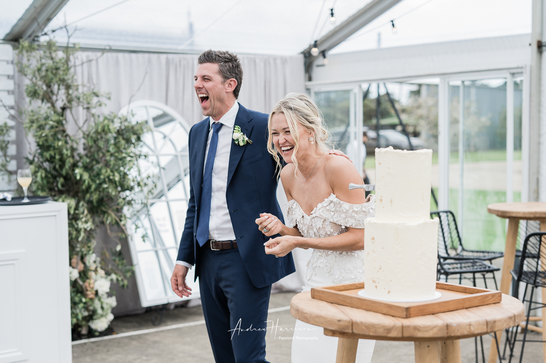 cake cutting