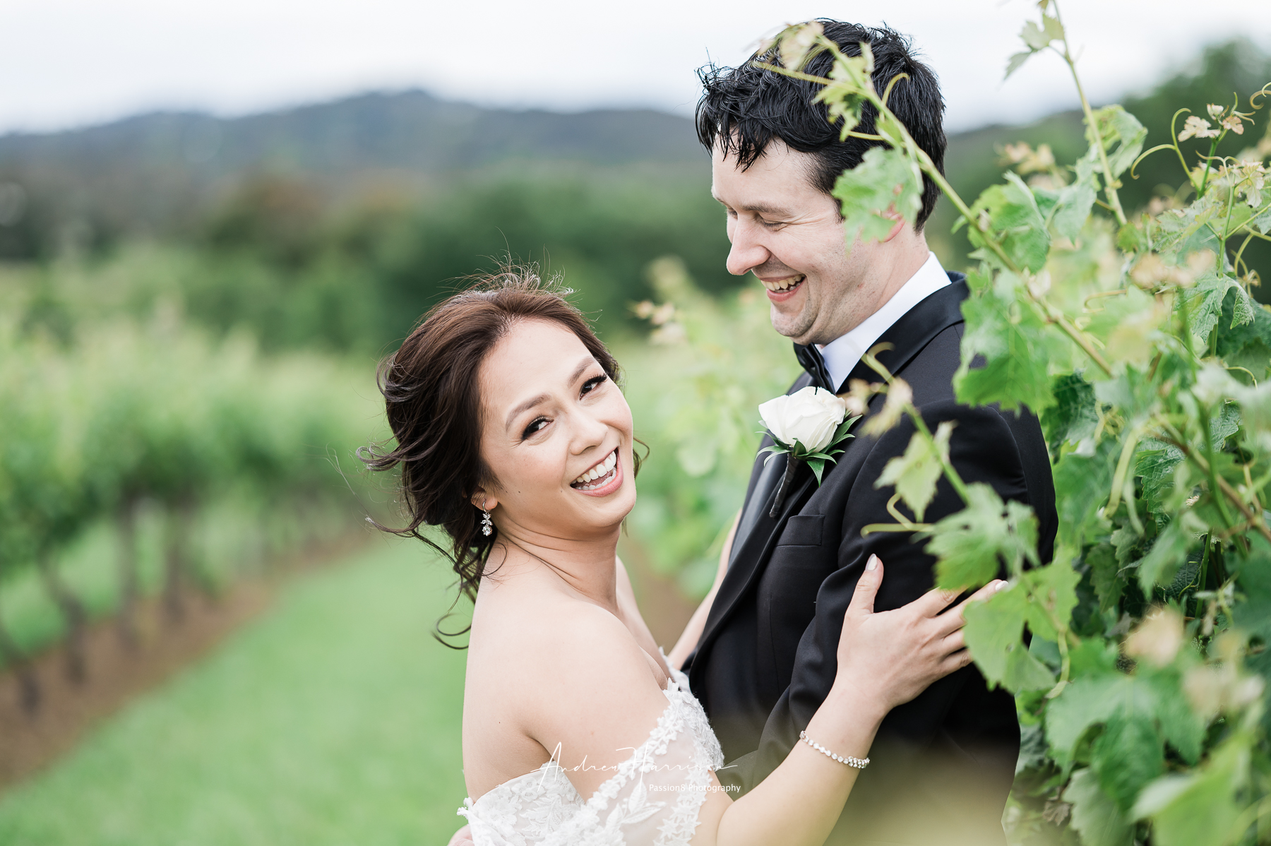 Vue on Halcyon Weddings