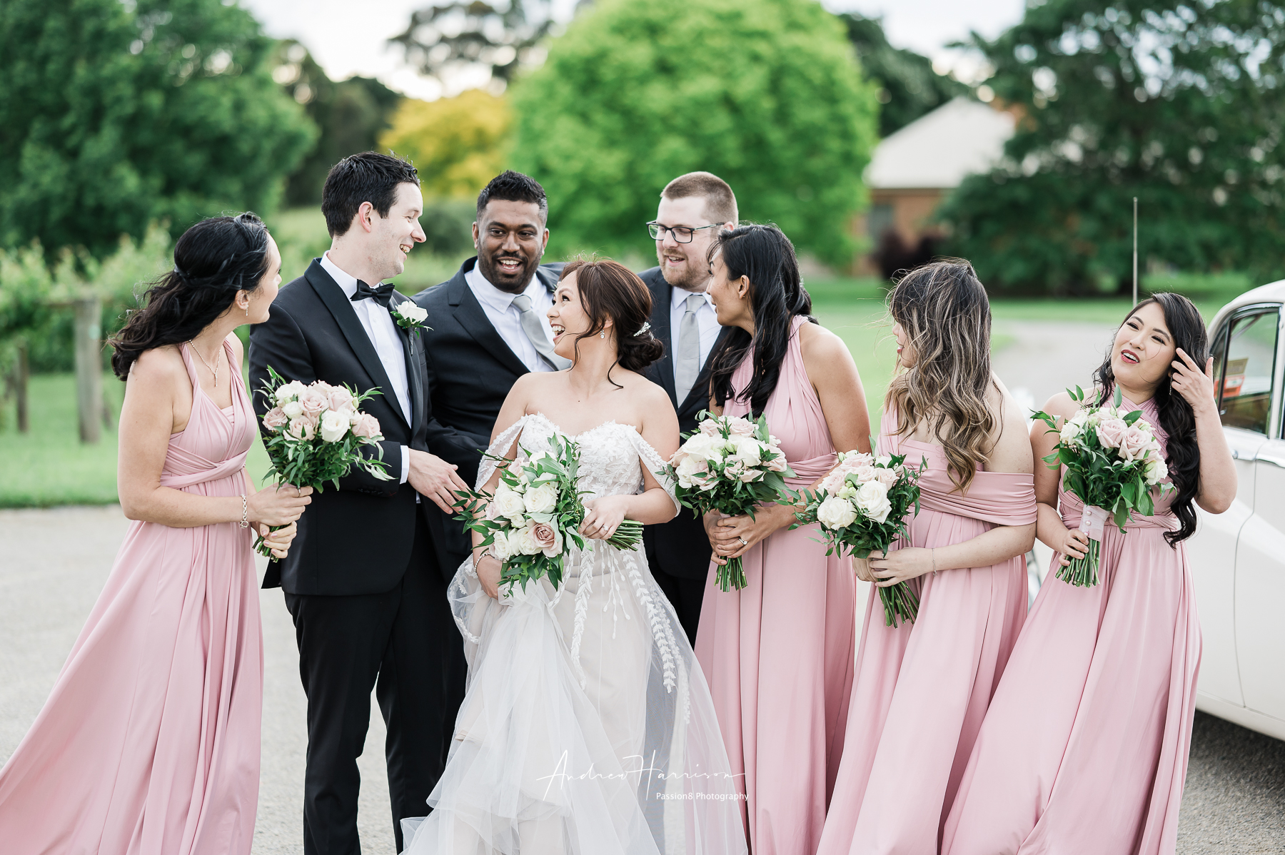 Vue on Halcyon Weddings