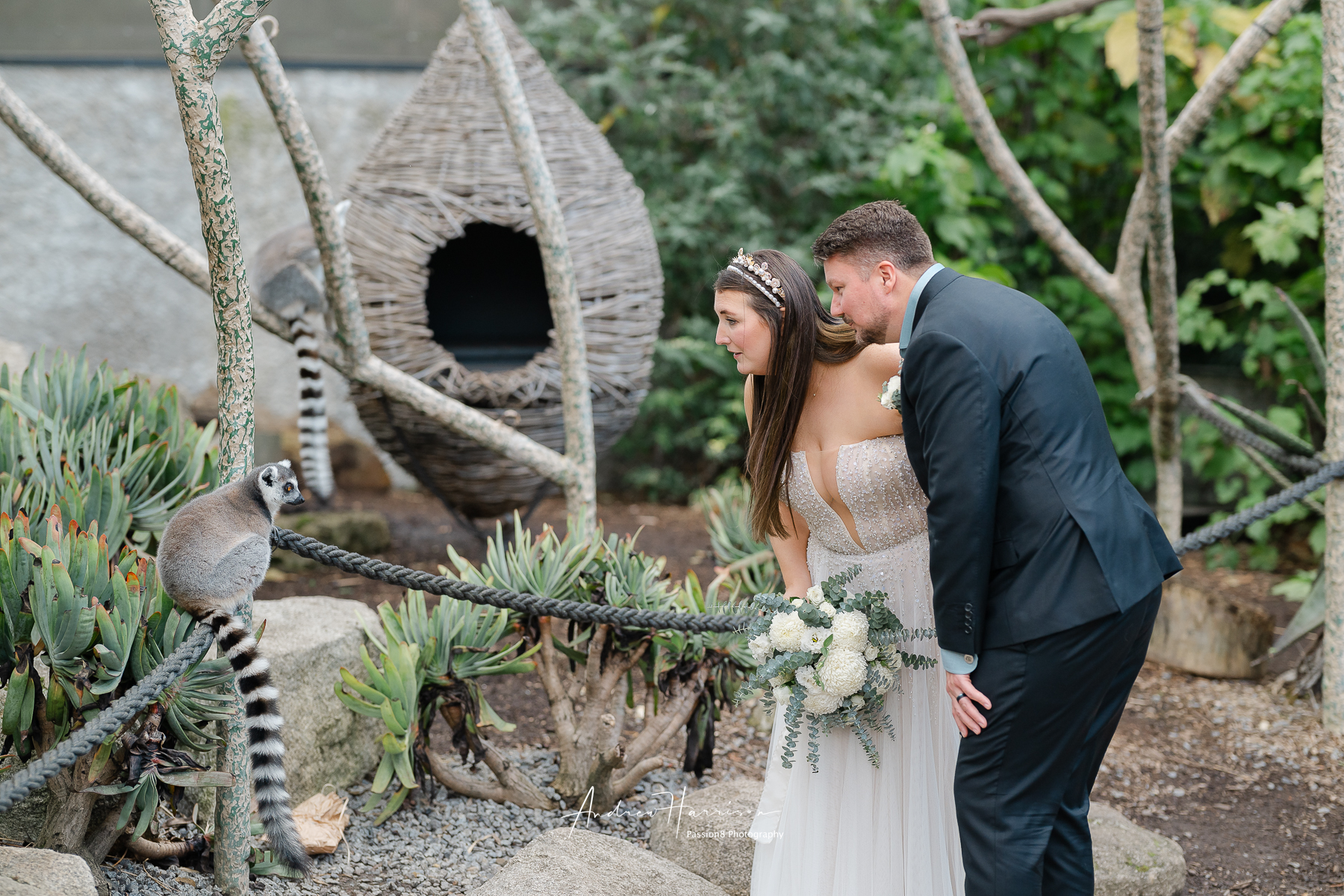 wedding Melbourne zoo