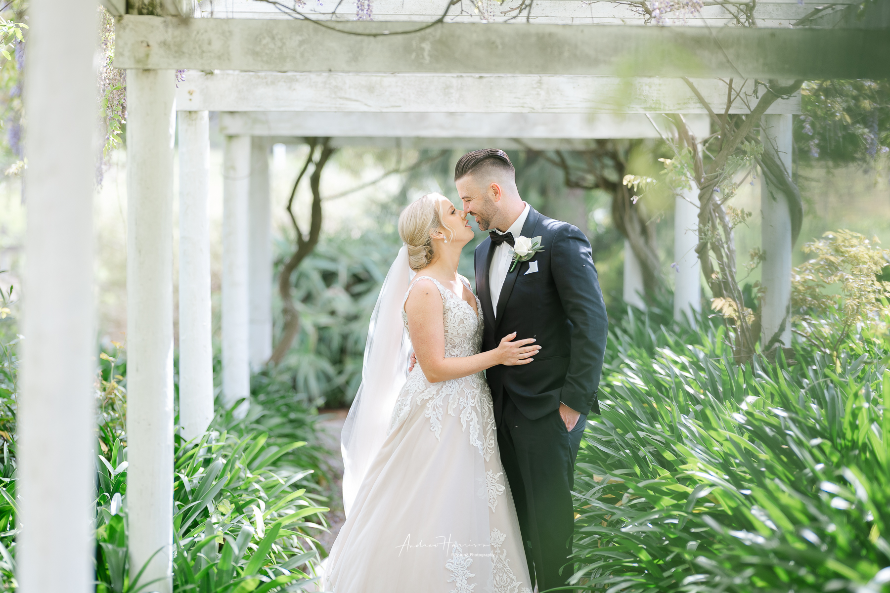 Fergusson Winery Wedding