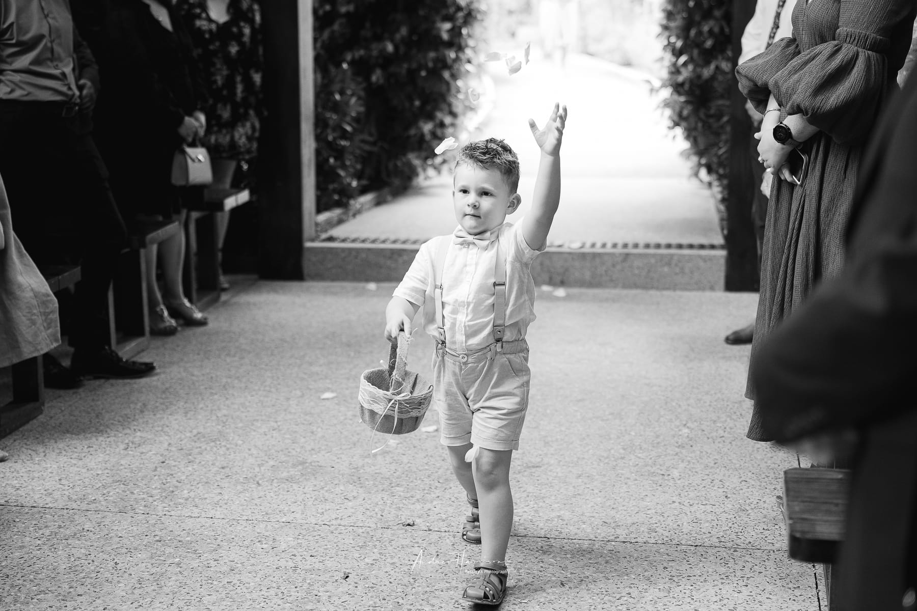 Yarra Valley Immerse Wedding