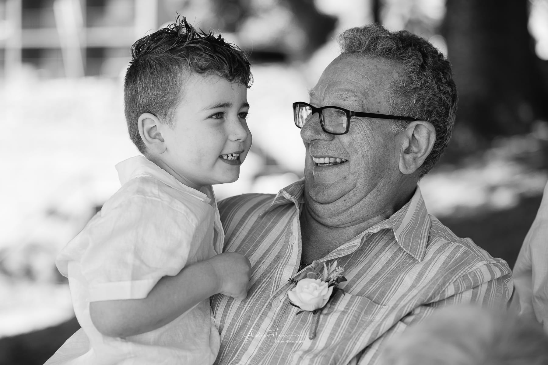 Cowes Phillip Island