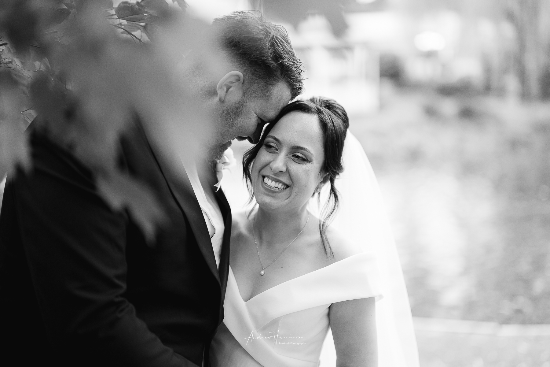 Wedding Party Ballara