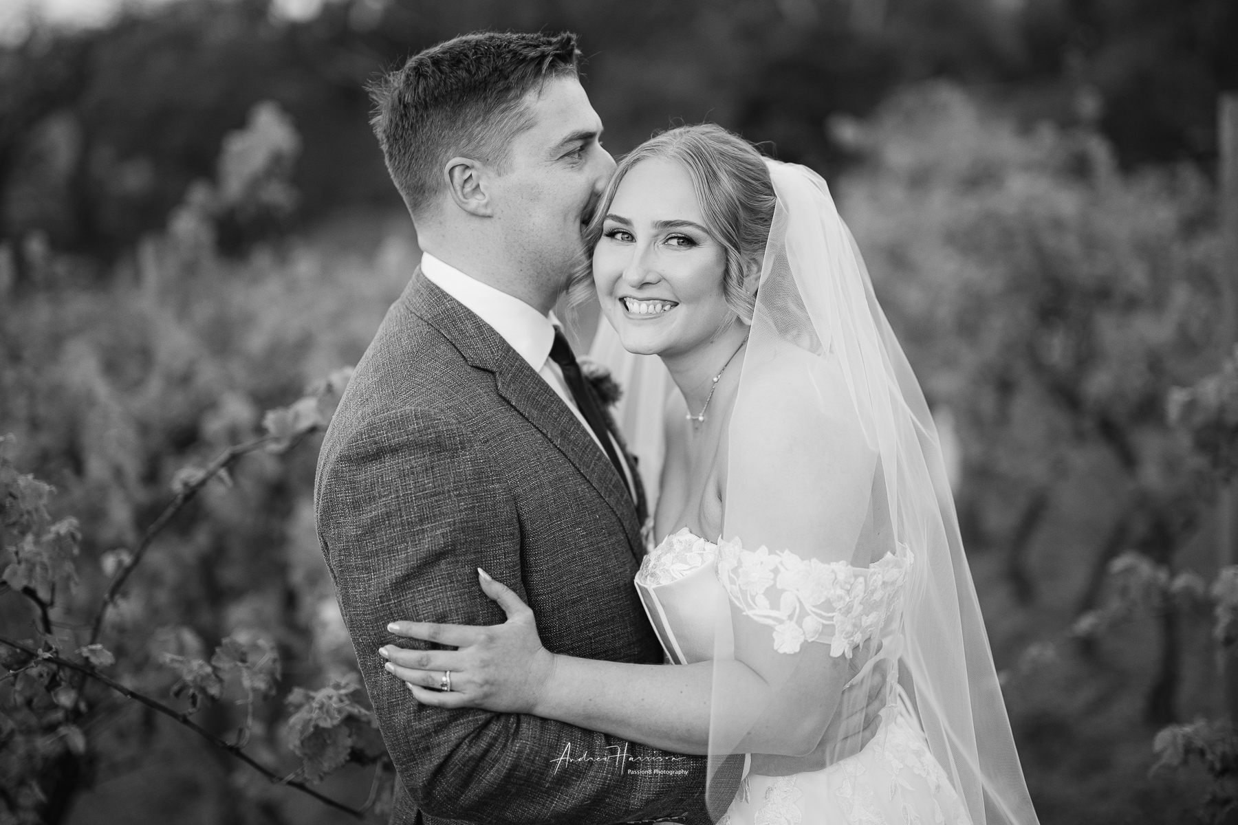 Wedding Little Vineyard