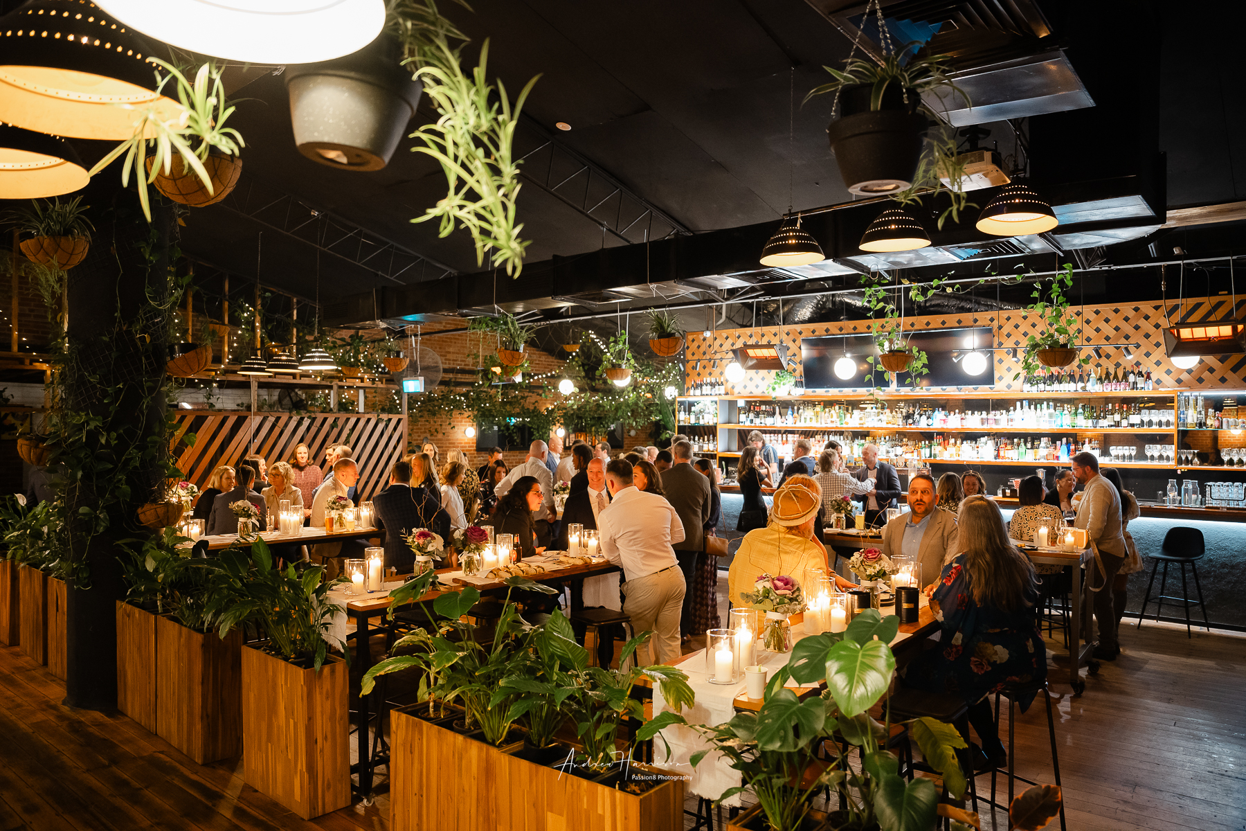 The Bentleigh Social 