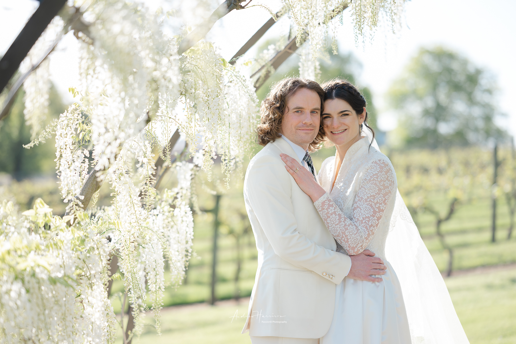 Wedding Vue on Halcyon YV