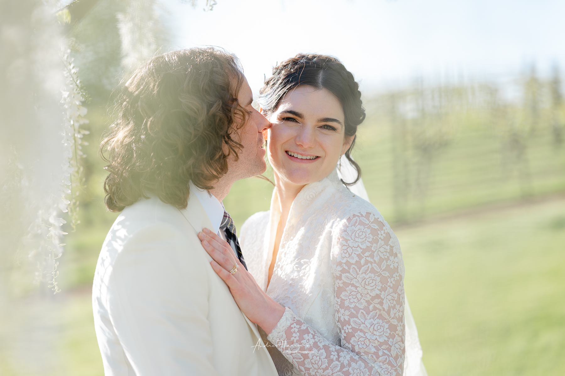 Wedding Vue on Halcyon YV