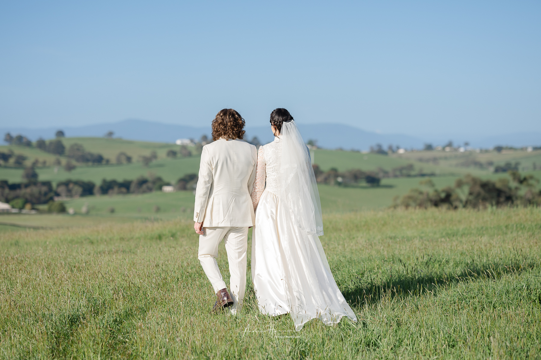 Wedding Vue on Halcyon YV