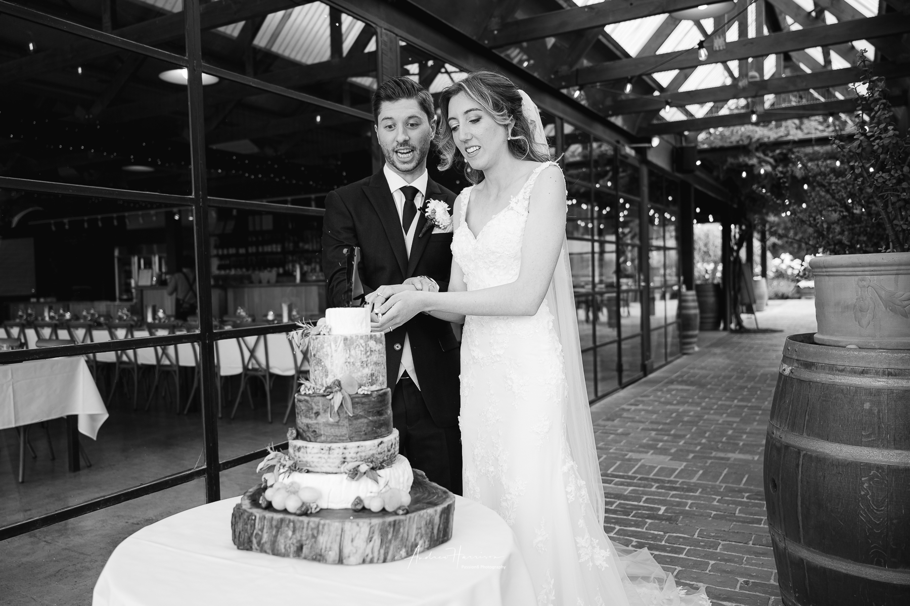 cake cutting