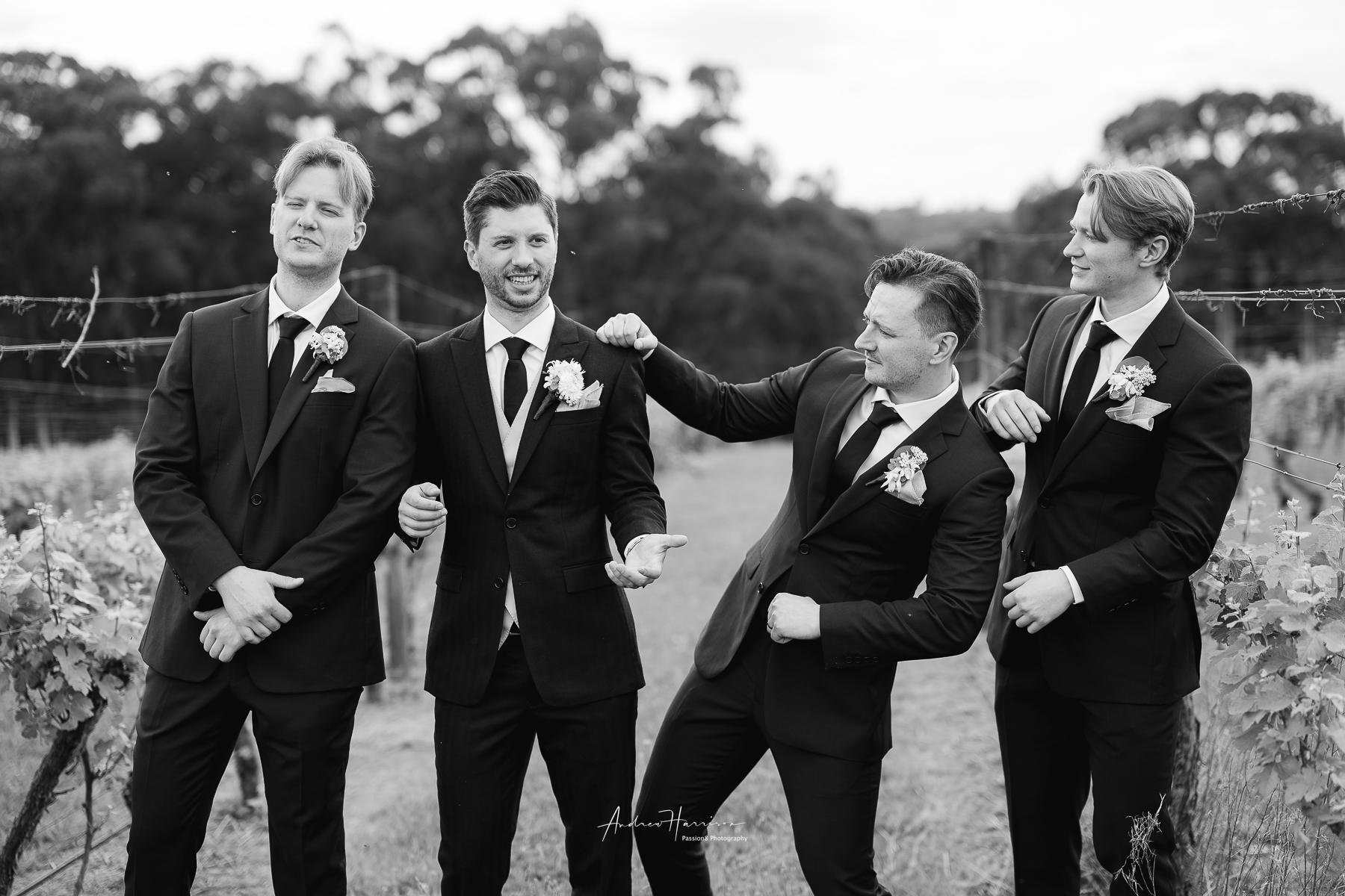 Yarra Ranges Estate Weddings