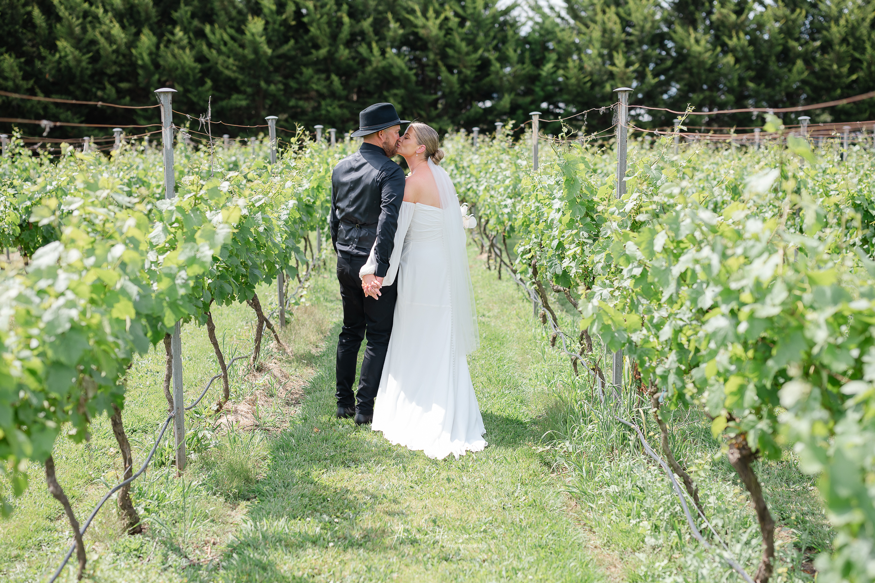wedding Harman Wines