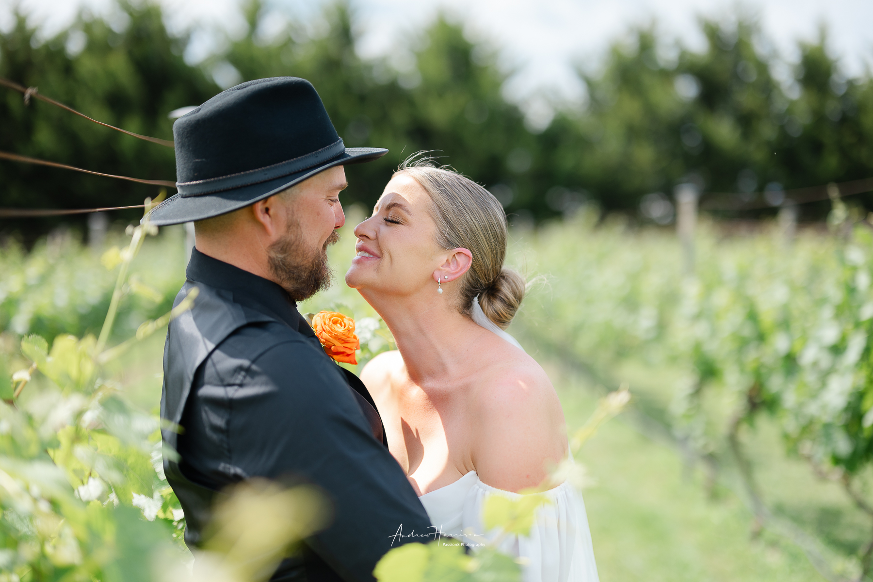 wedding Harman Wines