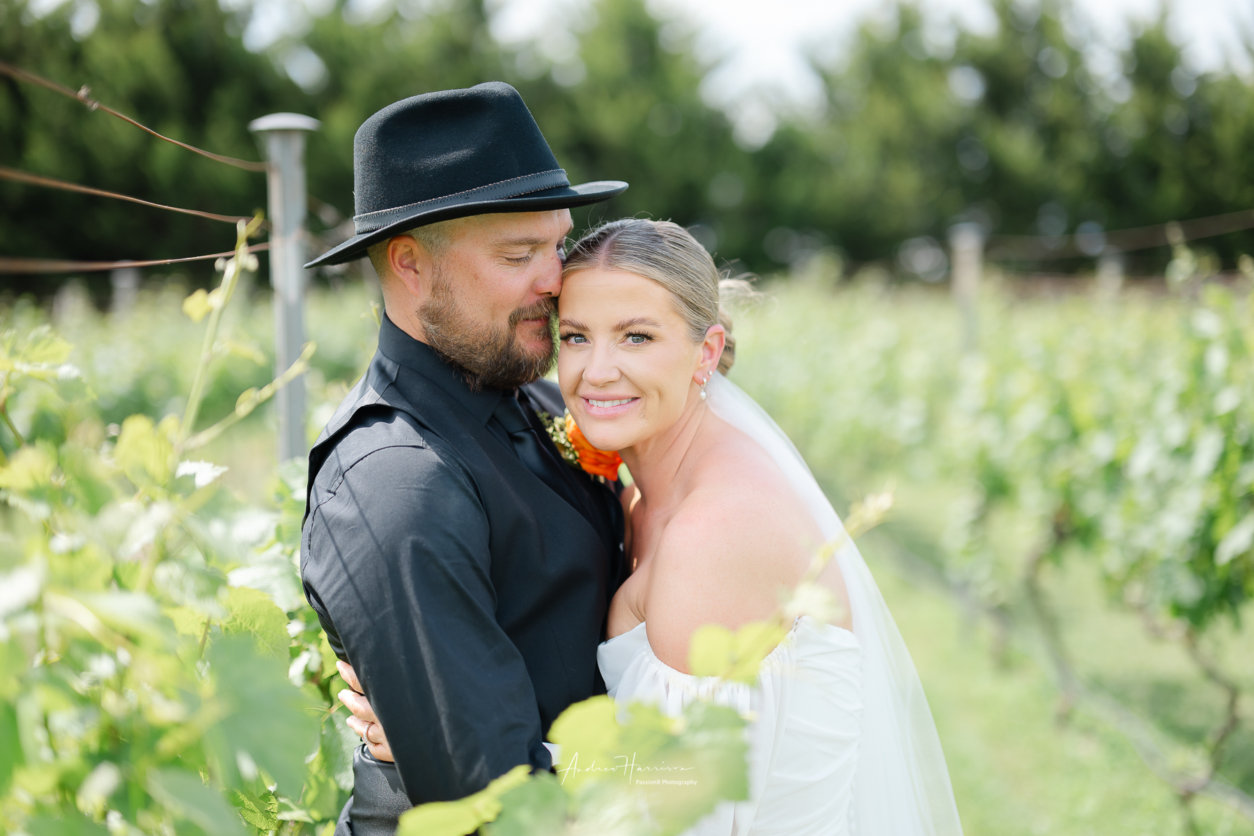 wedding Harman Wines